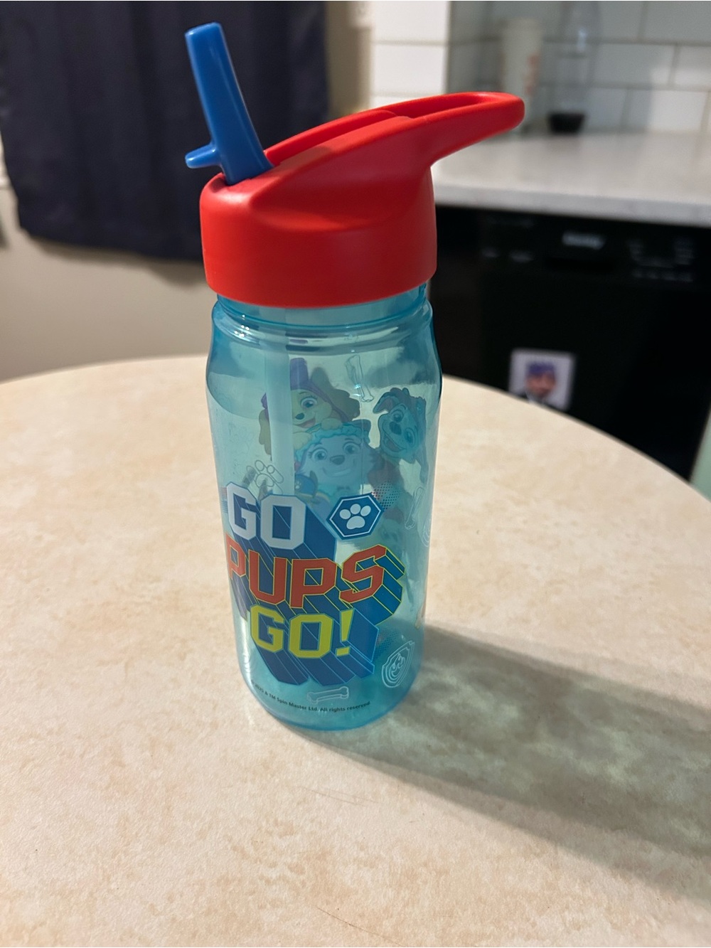 (3/$10) Paw Patrol 'Go Pups Go' Kids Water Bottle - Blue & Red